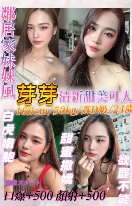 基隆定點茶-芽芽/166/50/24/D