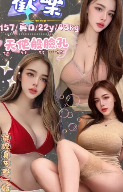 台北定點茶-歡樂/157/43/22/D