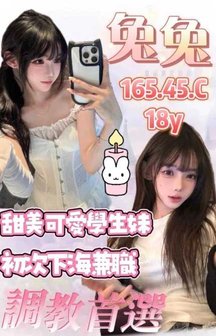 桃園外送茶-兔兔/165/45/18/C