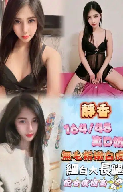 新北定點茶-靜香/164/48/24/D