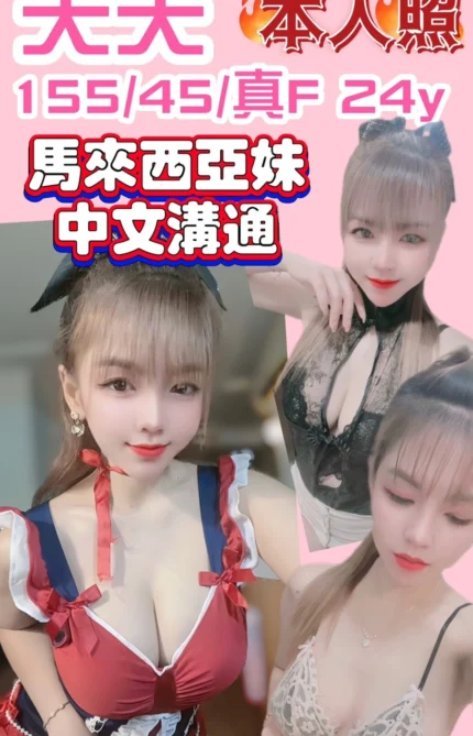 新竹定點茶-夭夭/155/45/24/F