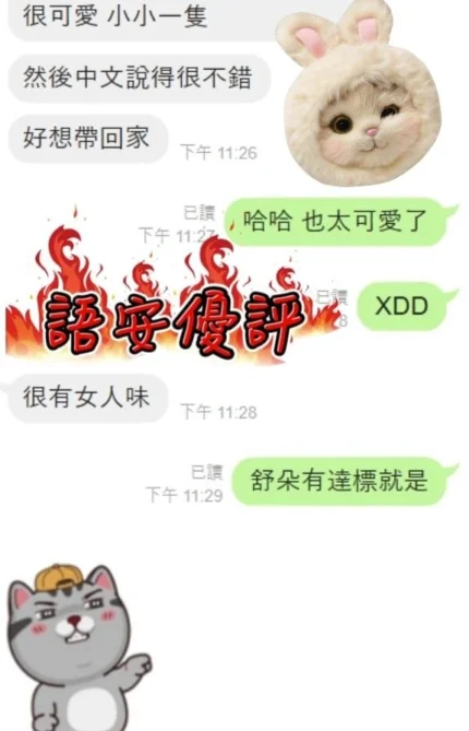 台中定點茶-語安/155/44/19/C