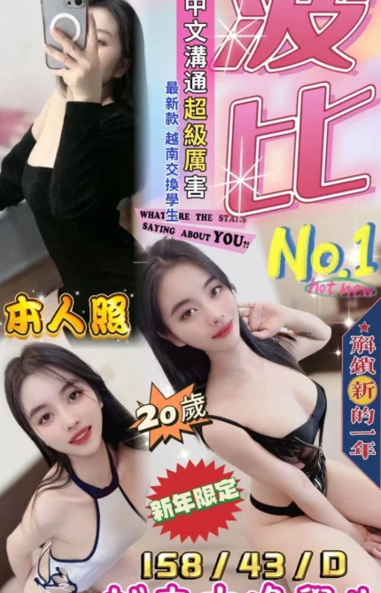 台中定點茶-波比/158/43/20/D