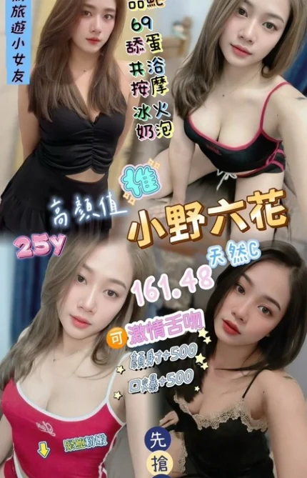 桃園定點茶-小野六花/161/48/25/C