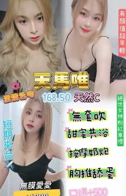 桃園定點茶-天馬唯/168/50/25/C