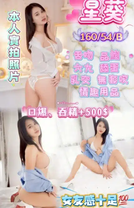 新竹定點茶-星葵/160/54/?/B