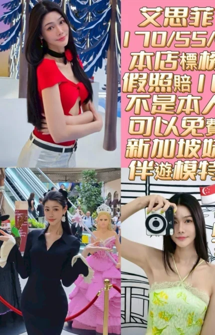 台南定點茶-艾思菲/170/55/22/C