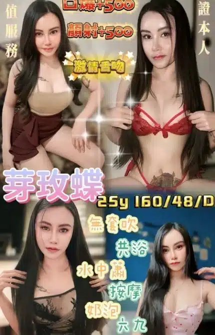 桃園定點茶-芽玫蝶/160/48/25/D