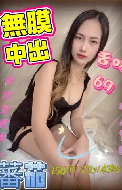 新北定點茶-蕃茄/156/43/22/D