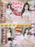 新竹定點茶-奈緒/160/43/23/D