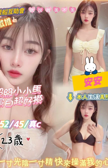 台北定點茶-安安/152/45/23/C