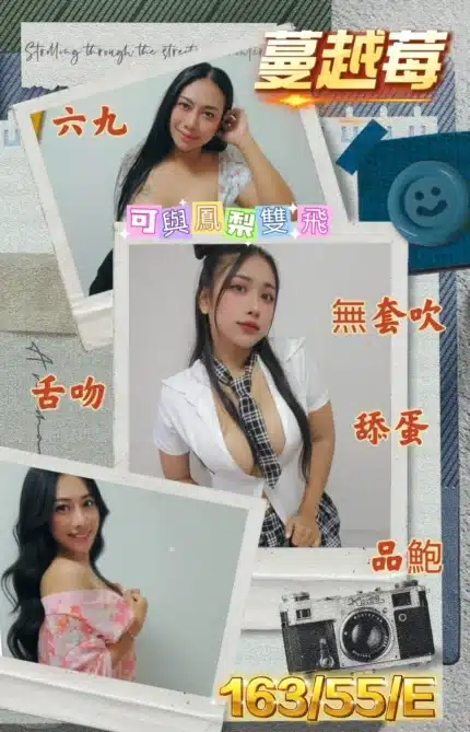 屏東定點茶-蔓越莓/163/55/?/E