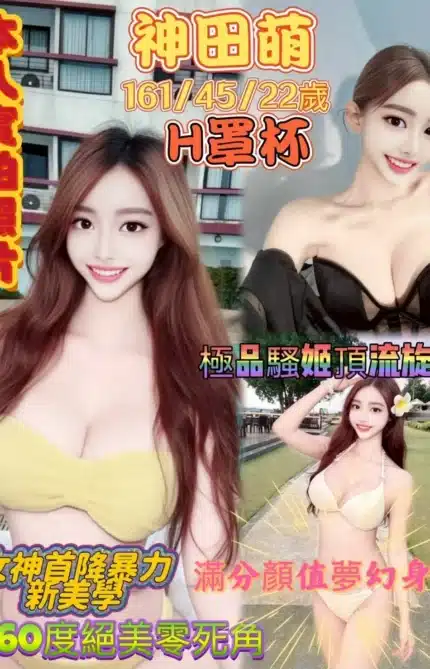 台南外送茶-神田萌/161/45/22/H