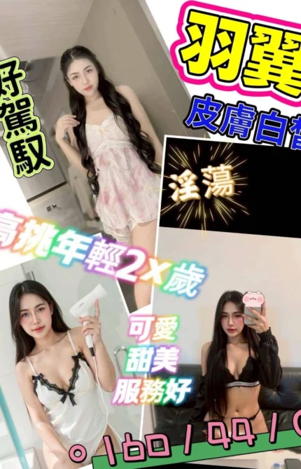 台南定點茶-羽翼/160/44/?/C