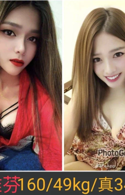 南投定點茶-雅芬/160/49/27/C