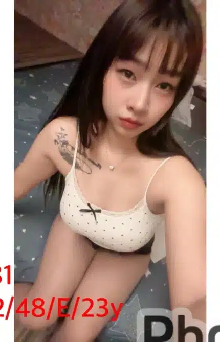 嘉義定點茶-T81/162/48/23/E