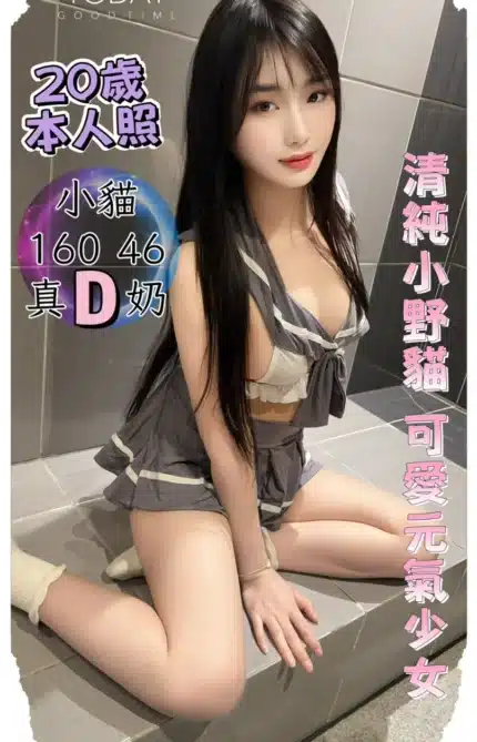 台中定點茶-小貓/160/46/20/D