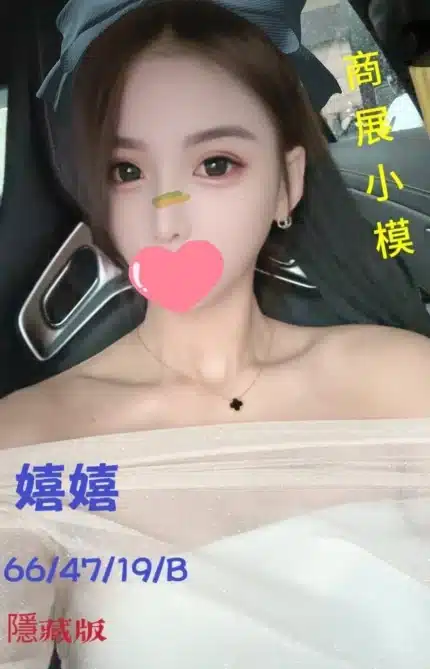 台中外送茶-嬉嬉/166/47/19/B