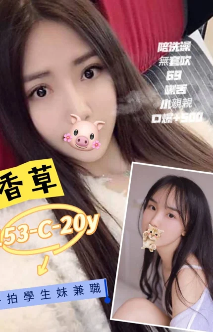 台北定點茶-香草/153/45/20/C