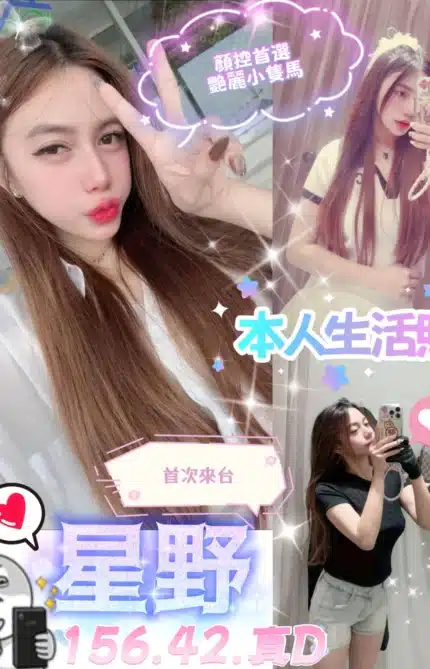 台中定點茶-星野/156/42/20/D