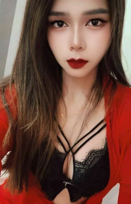 南投定點茶-雅芬/160/49/27/C