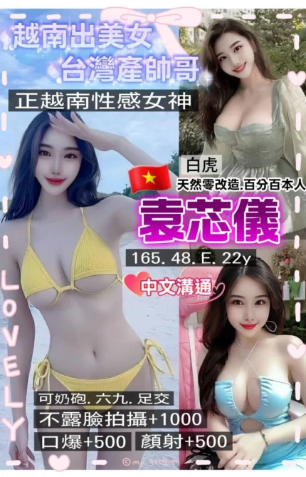 桃園定點茶-袁芯儀/165/48/22/E