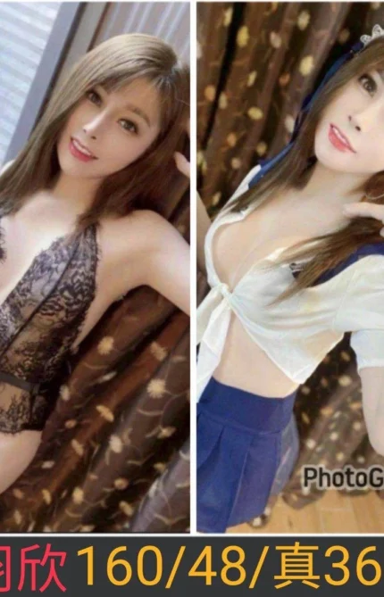 南投定點茶-羽欣/160/48/26/D