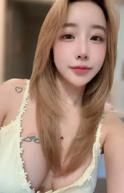 台北定點茶-哈啾咪/152/43/22/E