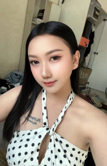 新北定點茶-財財/164/49/23/D