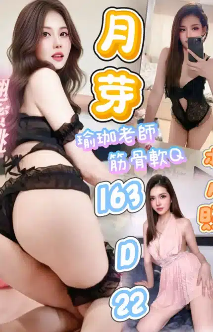 台北定點茶-月芽/163/?/22/D