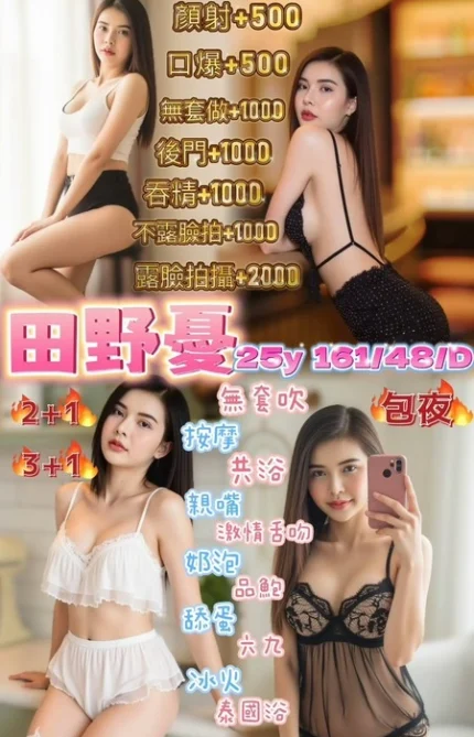 桃園定點茶-田野憂/161/48/25/D