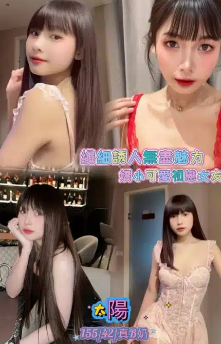 台北定點茶-太陽/155/42/22/B