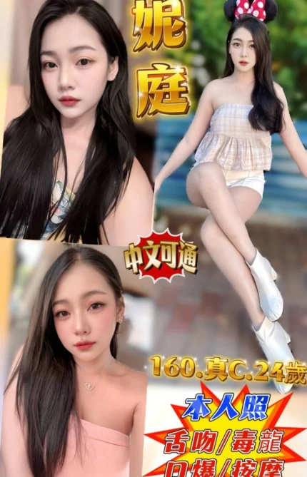 新北定點茶-妮庭/160/?/24/C