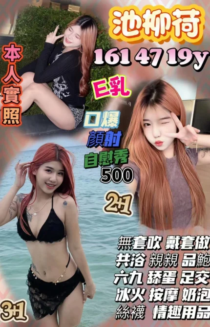 桃園定點茶-池柳荷/161/47/19/E