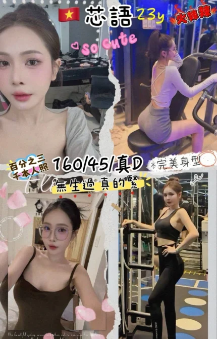 桃園定點茶-芯語/160/45/23/D