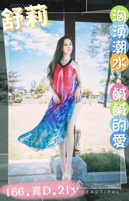 台中外送茶-舒莉/166/46/21/D