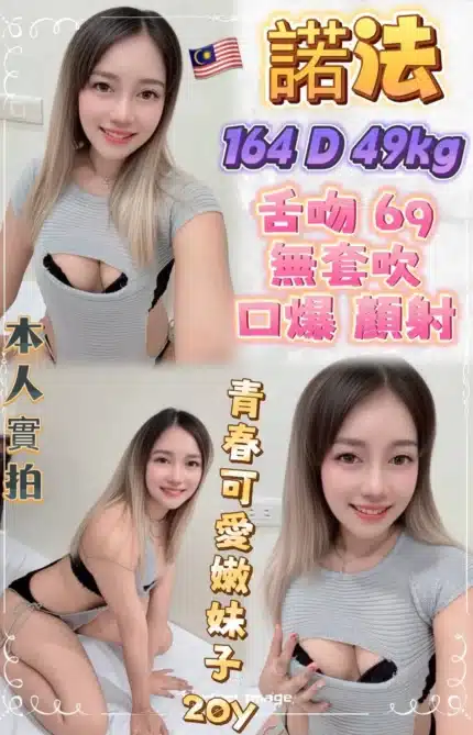 新北定點茶-諾法/164/49/20/D