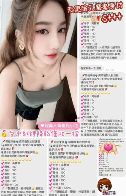 桃園定點茶-高藝娜/160/40/20/D