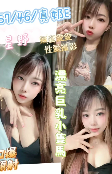 彰化定點茶-星野/157/46/22/E