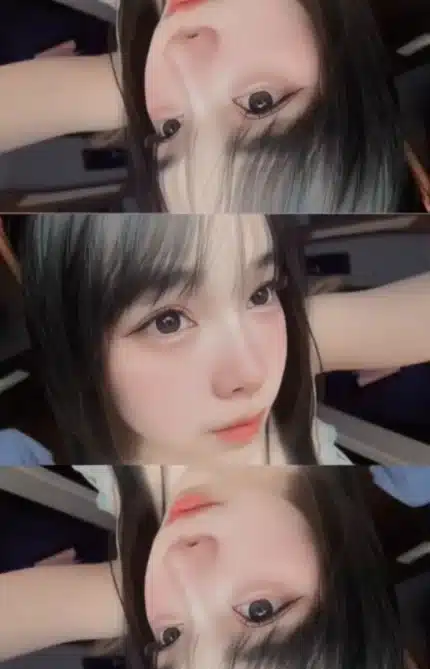 高雄定點茶-糯米/154/42/?/C