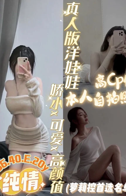 台南定點茶-純情/156/40/20/E