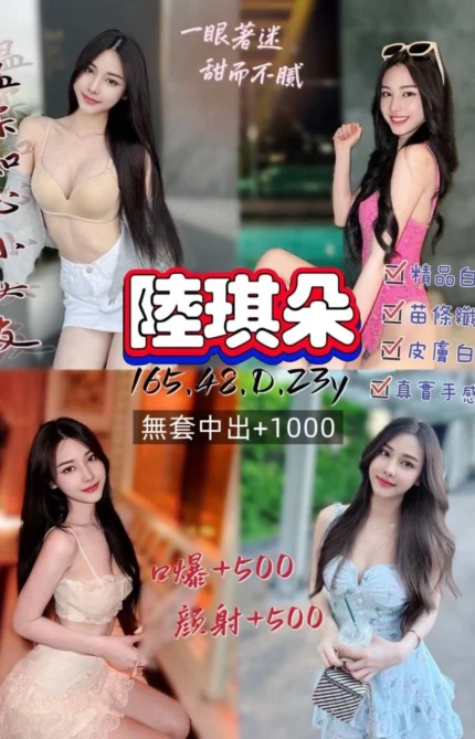 桃園定點茶-陸琪朵/165/48/23/D