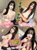 新北定點茶-花魁/165/50/20/F