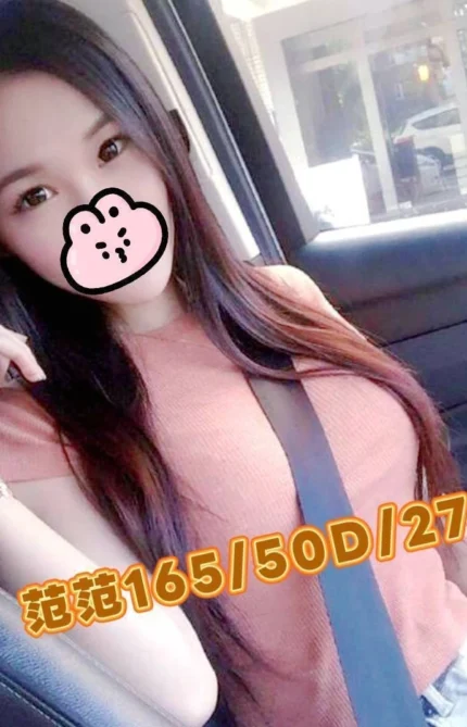 嘉義外送茶-范范/165/50/27/D