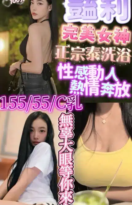新竹定點茶-艷莉/155/44/24/C