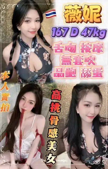 新北定點茶-薇妮/167/47/23/D