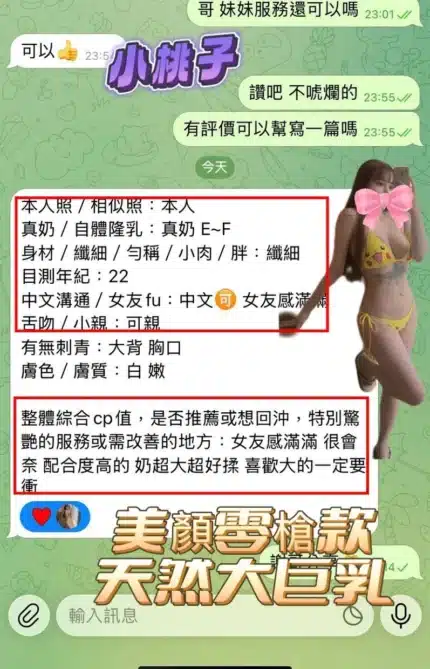 高雄定點茶-小桃子/163/43/19/E