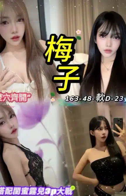 台北定點茶-梅子/163/48/23/D