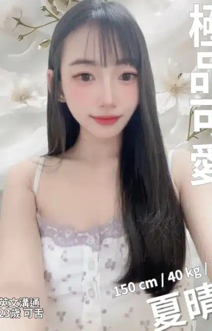 新竹定點茶-夏晴/150/40/23/B
