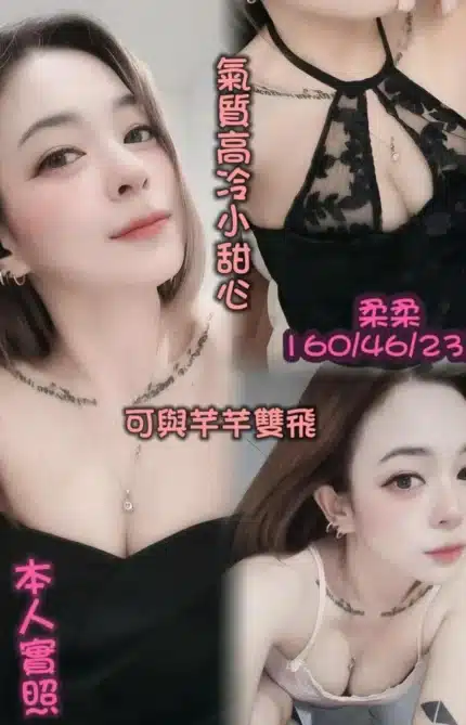 台中定點茶-柔柔/160/46/23/D